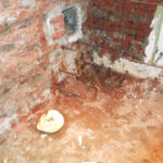 1486466334 DSCF2321